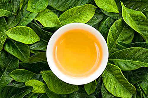 代用茶代加工廠(chǎng)家-貼牌生產(chǎn)趨勢(shì)-德州健之源
