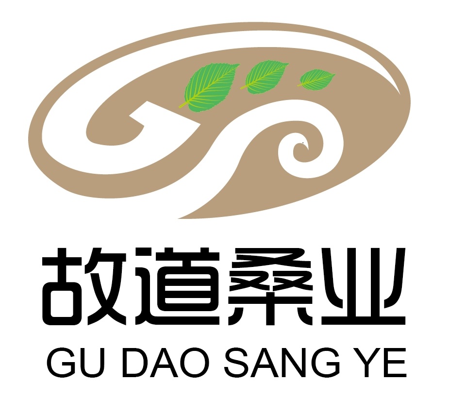 喝茶就可以防脫生發(fā)，太神奇了！桑葉養(yǎng)生茶