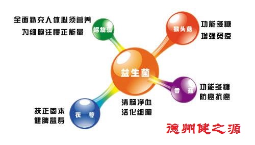 夏天腸胃問題頻發(fā)，您應(yīng)該用益生菌了